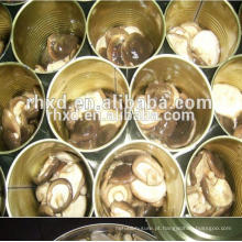 Própria fábrica / exportação enlatado cogumelo shitake em jarra da China
